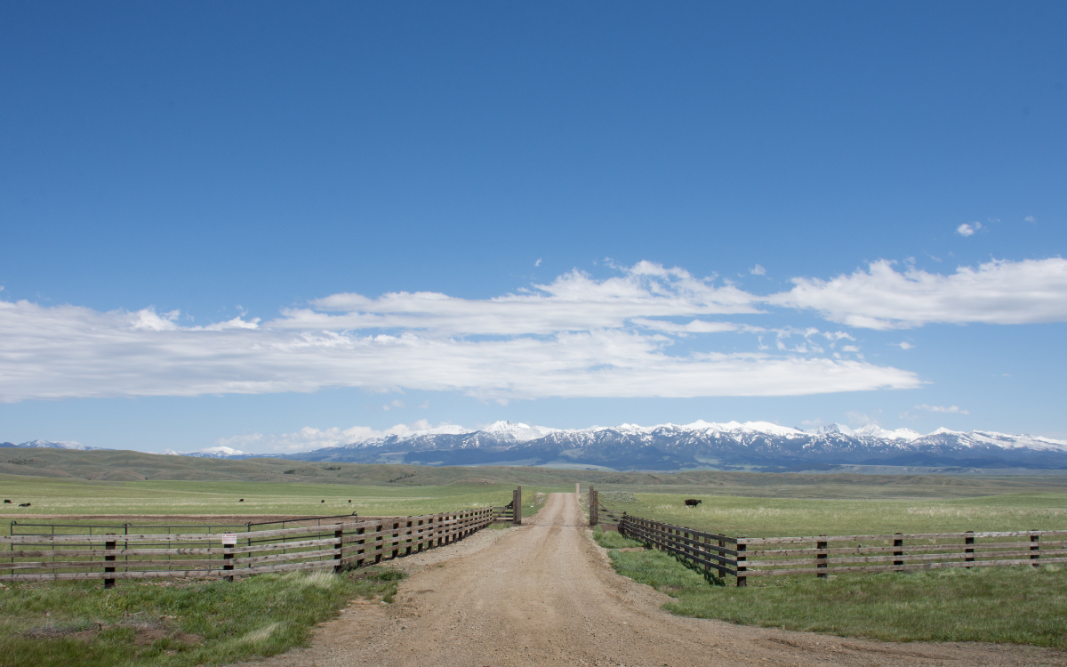 Is Now a Good Time to Buy Rural Land Near Salida, Colorado?